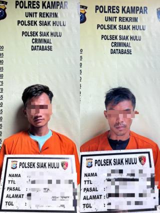 Polsek Siak Hulu Tangkap Dua Pelaku Narkoba Sabu2 dan Daun Ganja Kering